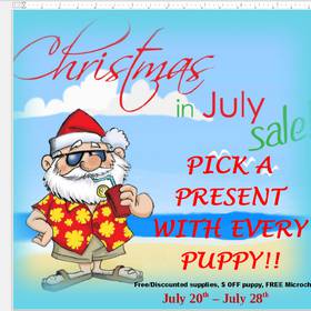 A..!!Christmas in July SALE!!!