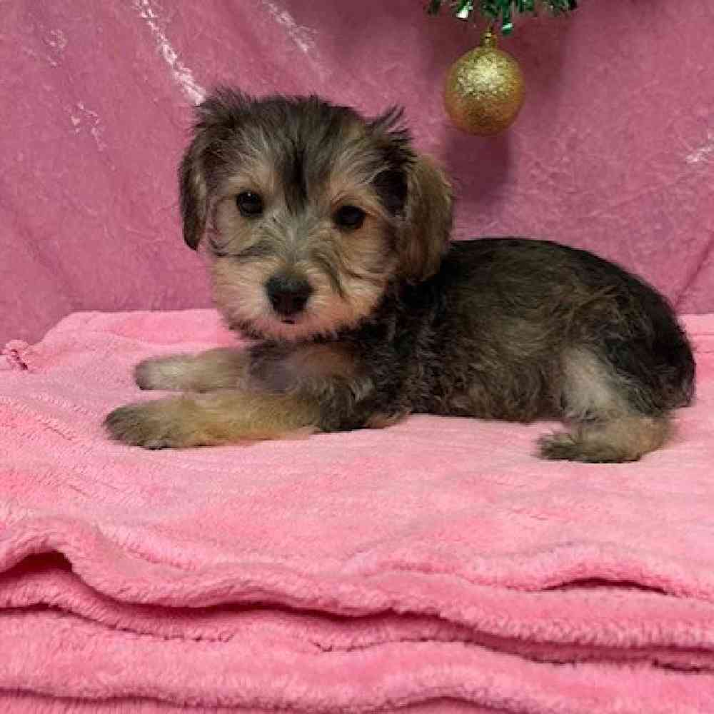 None