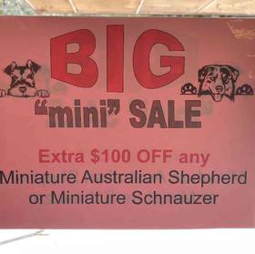 BIG "Mini" SALE!
