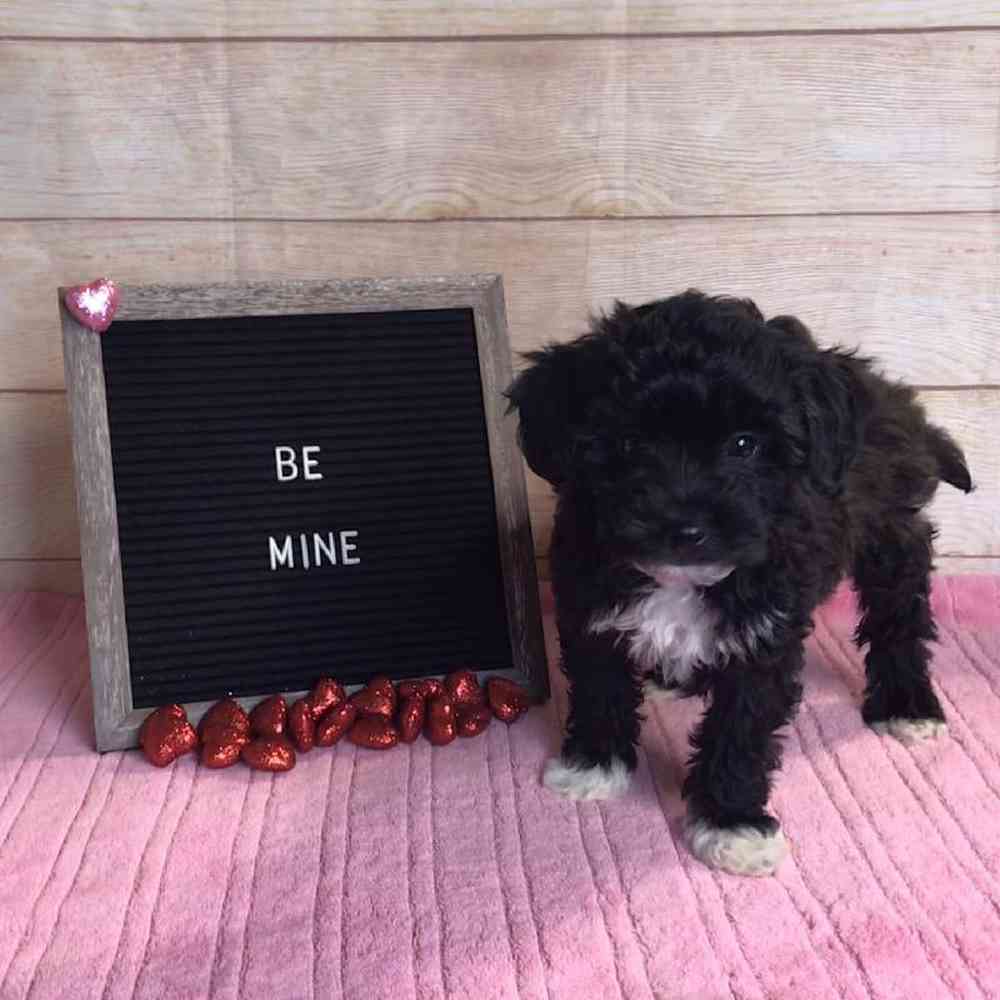 None