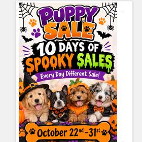 .!10 Days of Spooky Sales!