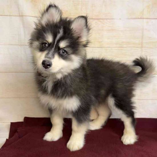 Yukon